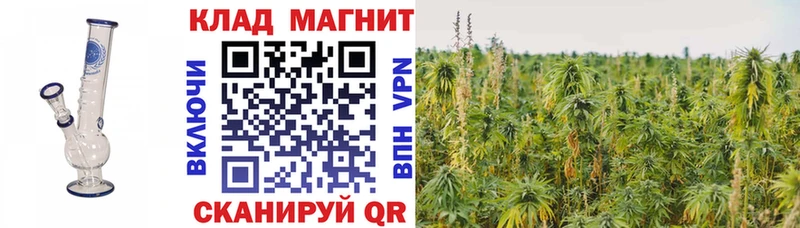 Магазины продажи наркотиков Александровск СОЛЬ  Меф  Cocaine  Гашиш  Канабис 