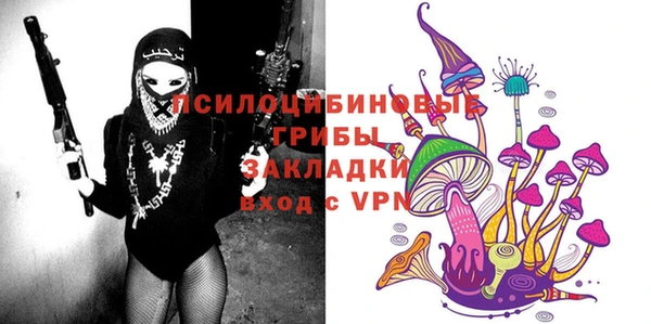 хмурый Абинск