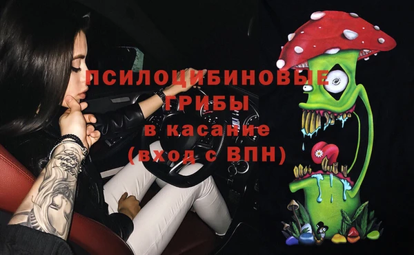 хмурый Абинск