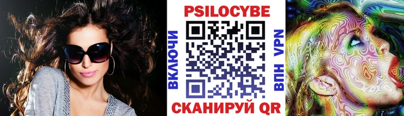 Псилоцибиновые грибы Psilocybe  Александровск 
